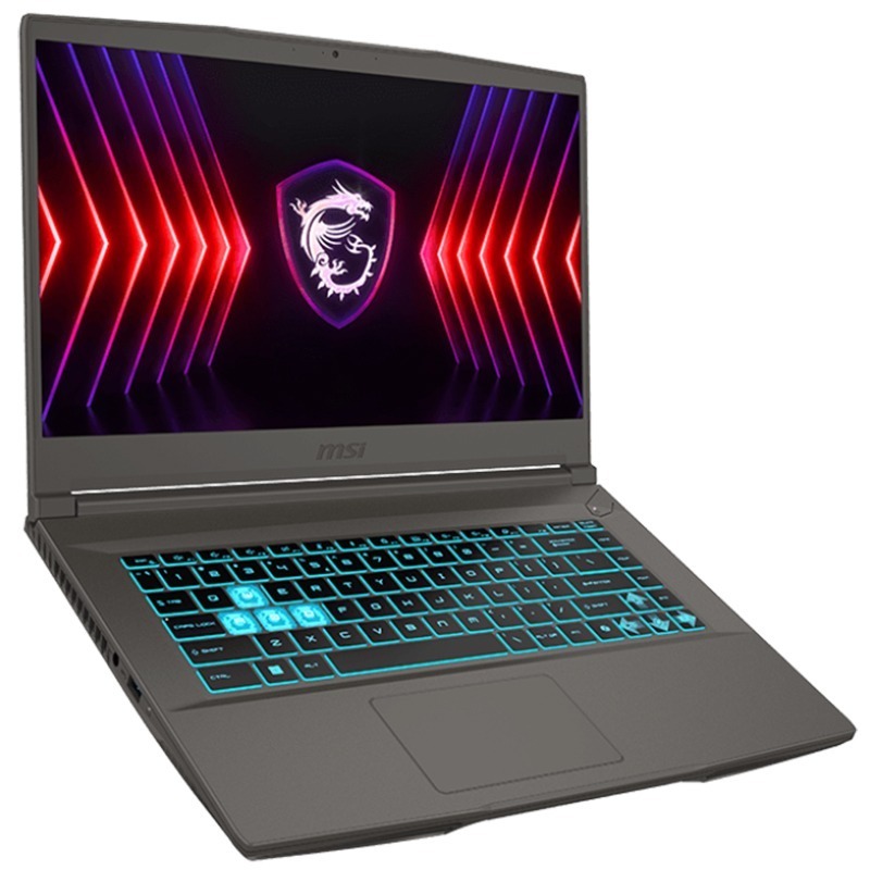 MSI Gamer Thin 15 B13UDX i7 13è Gén RTX3050