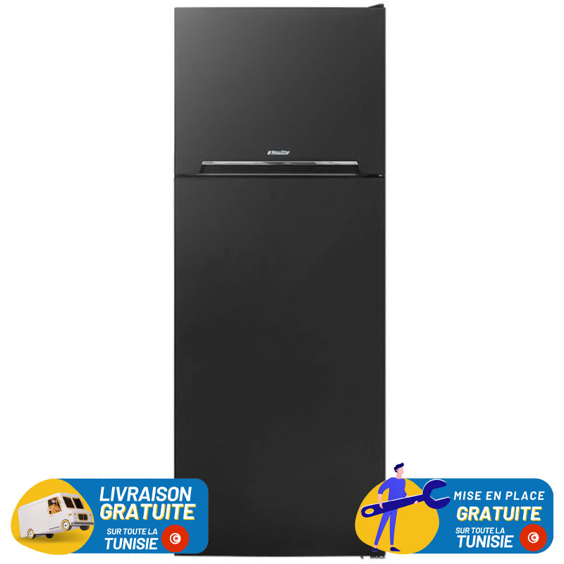 NEWSTAR De Frost Double Portes 460 Litres Inox