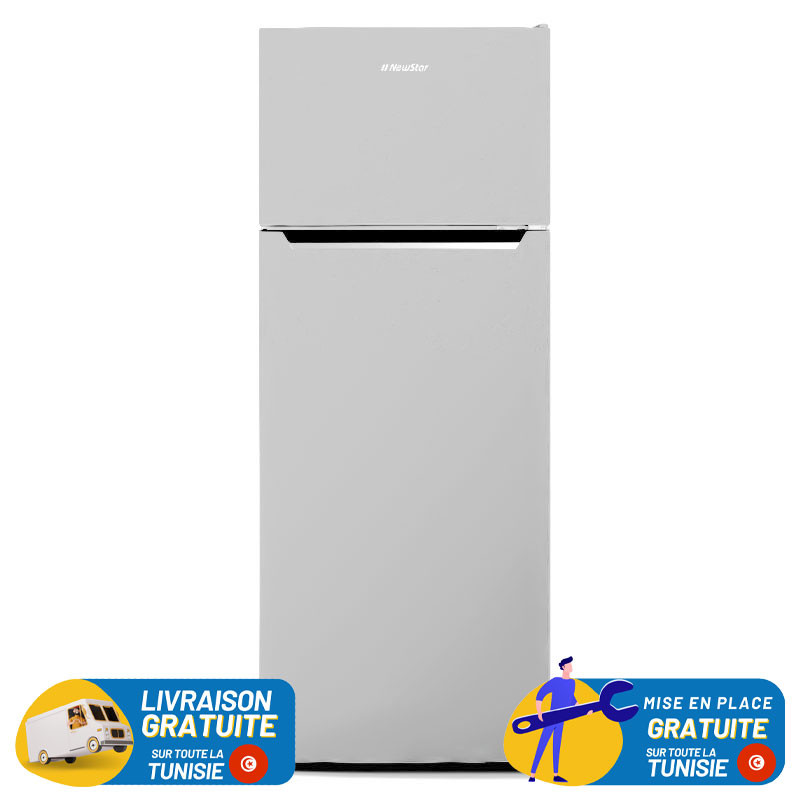 NEWSTAR De Frost Double Portes 211 Litres Inox